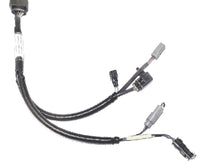 Roton D2L/D4L Main Harness